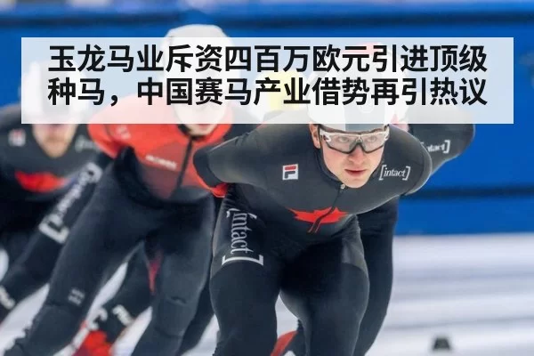 玉龙马业斥资四百万欧元引进顶级种马，中国赛马产业借势再引热议