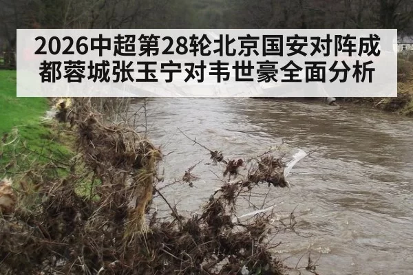 2026中超第28轮北京国安对阵成都蓉城张玉宁对韦世豪全面分析